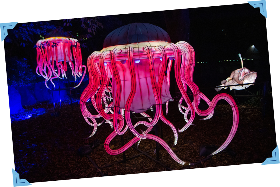 Bioluminescent Room