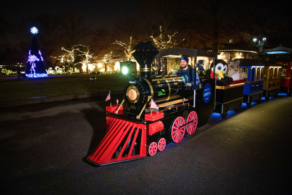Holiday Train