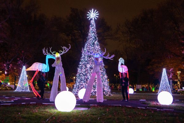 Illuminated Performers